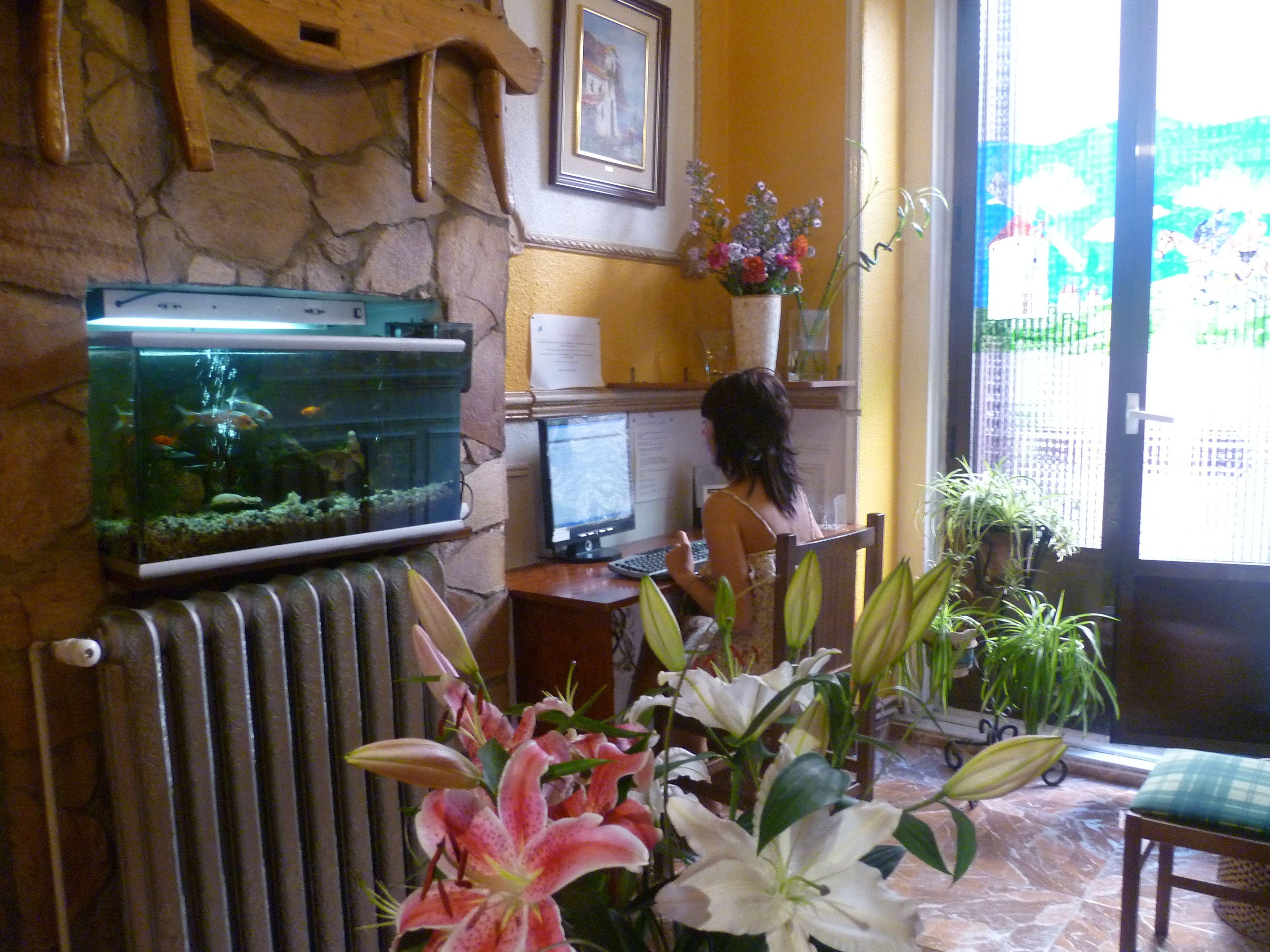 Hostal Comercial — Photos 2